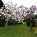 Holzberger Apartman Goslar
