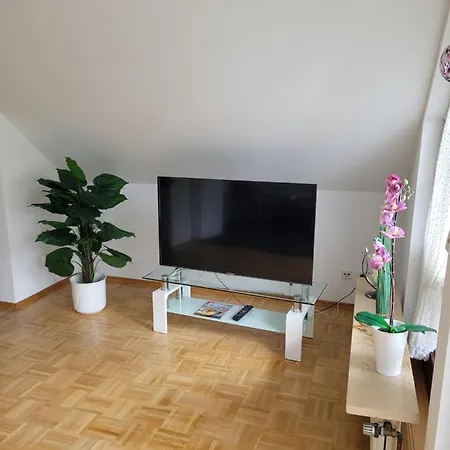 Apartment Holzberger *