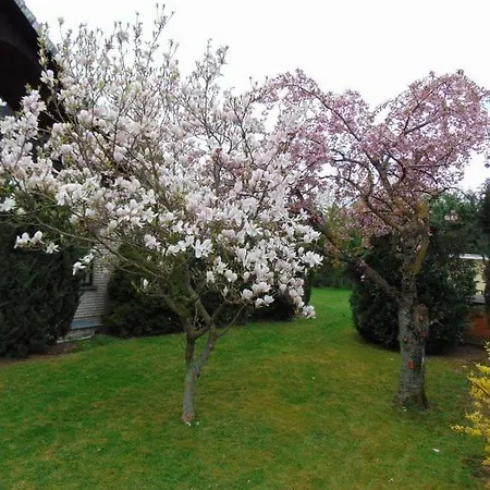 Holzberger Apartment Goslar